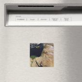 Midden-Oosten Magneet (Insitu (Vaatwasser))