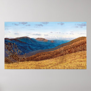 Midden-rong Wilderness Poster