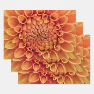 Midden Sinaasappel Dahlia Flower Inpakpapier Vel