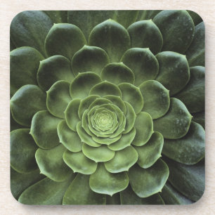 Midden van Cactus Bier Onderzetter