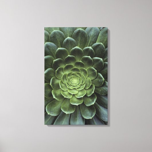 Midden van Cactus Canvas Afdruk (Voorkant)