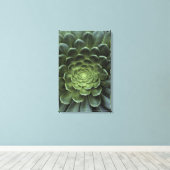 Midden van Cactus Canvas Afdruk (Insitu (Houten vloer))