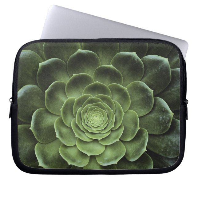 Midden van Cactus Laptop Sleeve (Voorkant)