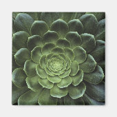 Midden van Cactus Magneet (Voorkant)