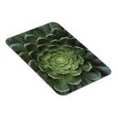 Midden van Cactus Magneet (Rechterzijde)