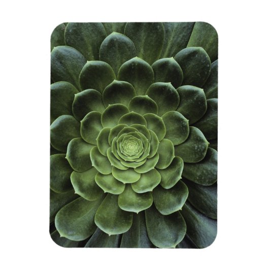 Midden van Cactus Magneet (Verticaal)
