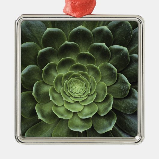 Midden van Cactus Metalen Ornament (Voorkant)