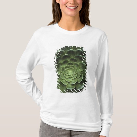 Midden van Cactus T-shirt (Voorkant)
