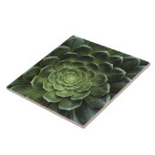 Midden van Cactus Tegeltje (Zijkant)