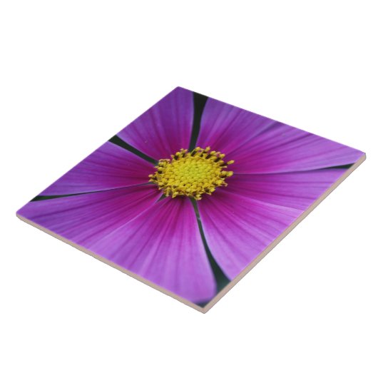 Midden van de Kosmos Tegel Tegeltje (Zijkant)