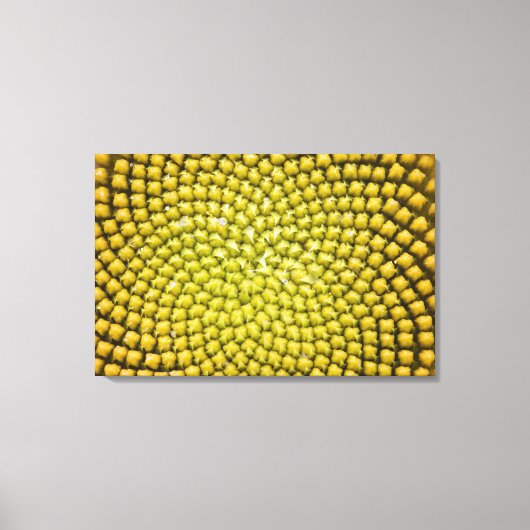 Midden van de zonnebloem (Helianthus annuus) Canvas Afdruk (Voorkant)