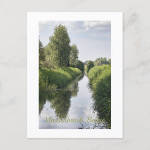 Midden zomer in Vlassenbroek, België Briefkaart
