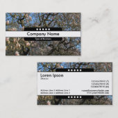 Middenband 5 Spots - Magnolia Trees in bloesem Visitekaartje (Voorkant / Achterkant)