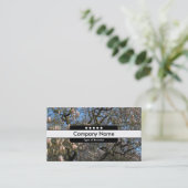 Middenband 5 Spots - Magnolia Trees in bloesem Visitekaartje (Staand voorkant)