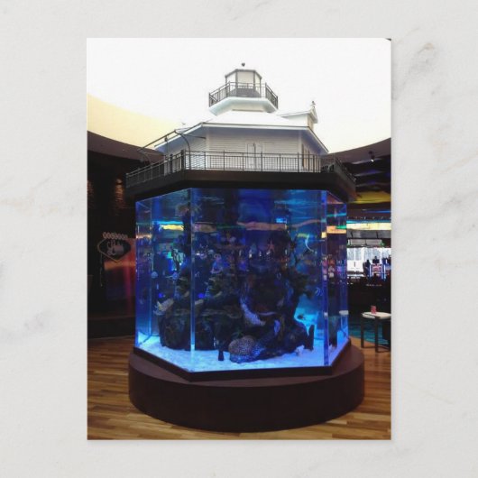 Middenboog vuurtoren vistank briefkaart (Voorkant)