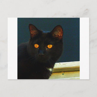 Middernacht Briefkaart