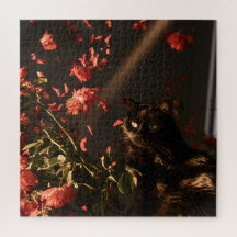 Middernachtelijke Bloeiende Katten