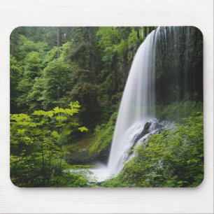 Middle North waterval, Silver Falls State Park, Muismat