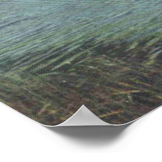 Middletown NY, Midway park, Wallkill River, Old Poster (Hoek)