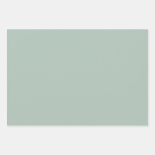 Mideeuw Modern Retro Starbursts Celadon Mint Inpakpapier Vel (Voorkant 3)