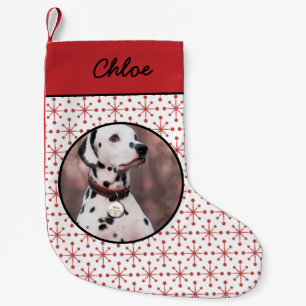 Mideeuw Modern Rood Starburst Patroon Pet Foto Kleine Kerstsok