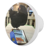 Midnight Ameraucana Champion Chicken knob pull BW Keramische Knop (Rechts)