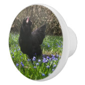 Midnight bloemen knol pull kip tail right keramische knop (Rechts)