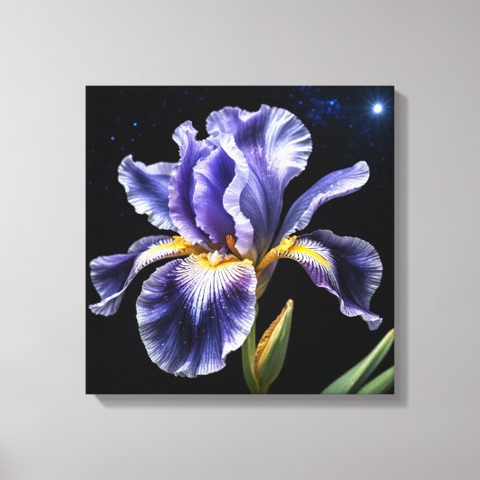 Midnight Bloom Iris Canvas Afdruk (Voorkant)