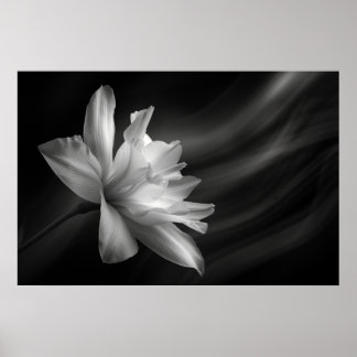 Midnight Blossom Print, Value Poster papier (mat)