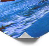 Midnight Cowboy Hobie zeilboot Poster (Hoek)