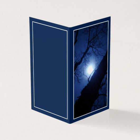 Midnight Full Moon Through Big Tree (Outside)