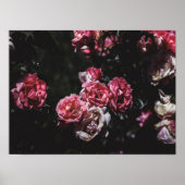 Midnight garden, donkere bloemkunst poster (Voorkant)