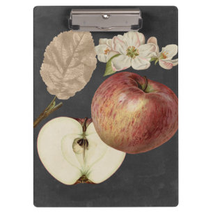 Midnight Harvest II Klembord