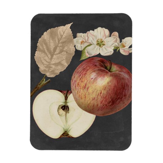 Midnight Harvest II Magneet (Verticaal)