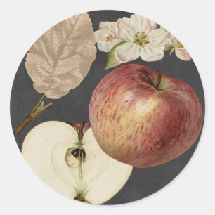 Midnight Harvest II Ronde Sticker