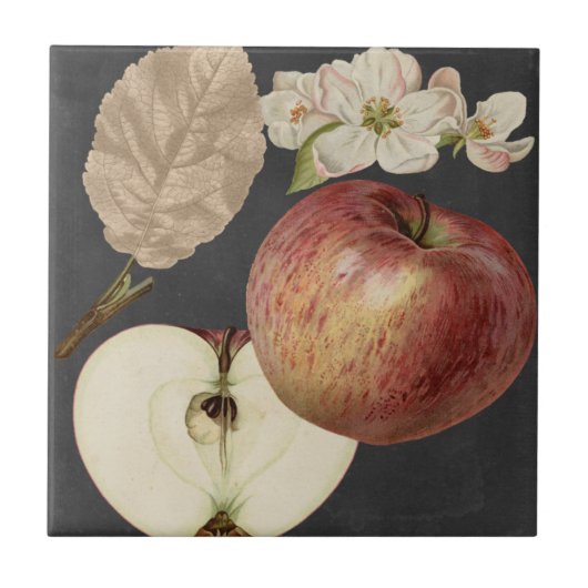 Midnight Harvest II Tegeltje (Voorkant)