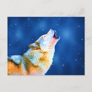 Midnight Howl Briefkaarten