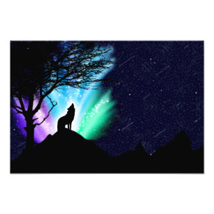 Midnight Howl Foto Afdruk