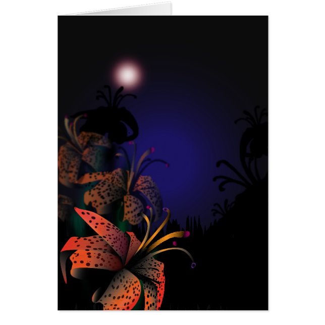 Midnight Lillies (Voorkant)