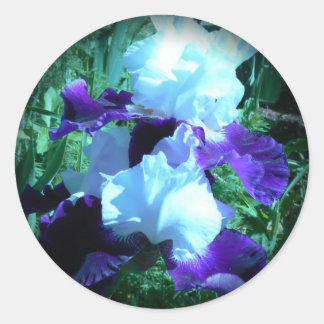 Midnight Moonlight Iris Ronde Sticker