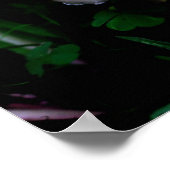 Midnight Paddenstoelen Natuur Poster (Hoek)