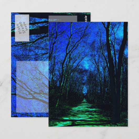 Midnight Path Briefkaart (Voorkant / Achterkant)