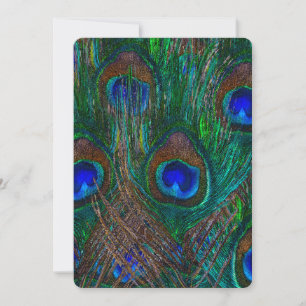 Midnight Peacock Feathers Etching Style Decor