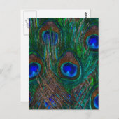 Midnight Peacock Feathers Etching Style Decor Briefkaart (Voorkant / Achterkant)