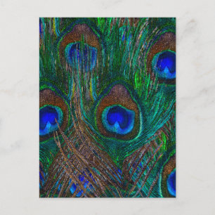 Midnight Peacock Feathers Etching Style Decor Briefkaart