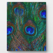 Midnight Peacock Feathers Etching Style Decor Fotoplaat (Voorkant)