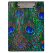 Midnight Peacock Feathers Etching Style Decor Klembord (Voorkant)