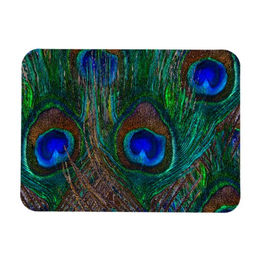 Midnight Peacock Feathers Etching Style Decor Magneet (Horizontaal)