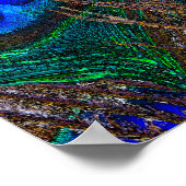 Midnight Peacock Feathers Etching Style Decor Poster (Hoek)