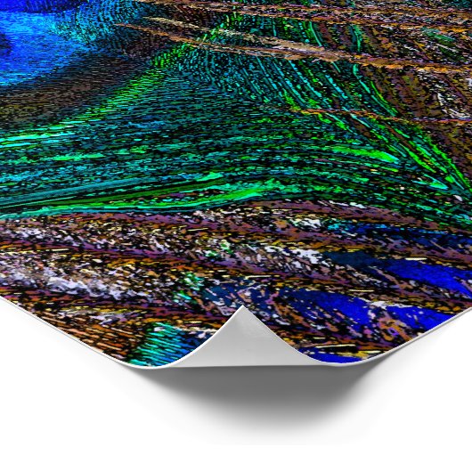 Midnight Peacock Feathers Etching Style Decor Poster (Hoek)